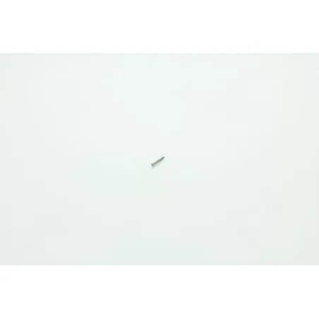 VIS 2.9x19 POUR AUTOLAVEUSE DULEVO