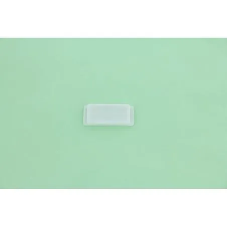 PLAQUE DE GUIDAGE POUR MONOBROSSE TASKI