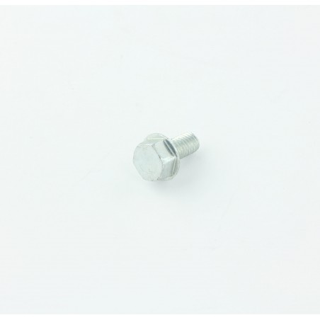 VIS HEXAGONAL EFMG M  6X 12 D7500   8.8C POUR AUTOLAVEUSE TENNANT