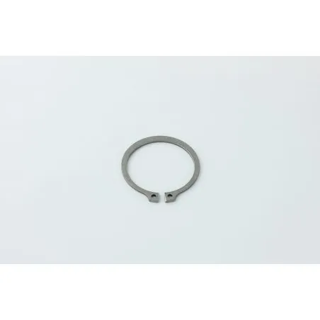 CIRCLIPS 45X1.75 KARCHER BR45/22C