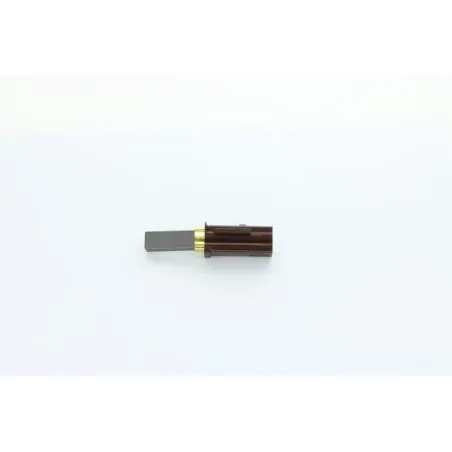 CHARBON MOTEUR POUR ASPIRATEUR WETROK
