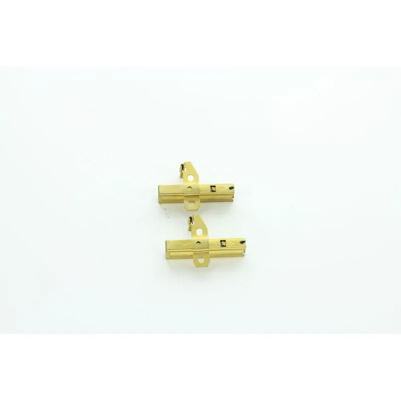 CHARBON MOTEUR (LOT DE 2) POUR ASPIRATEUR WETROK